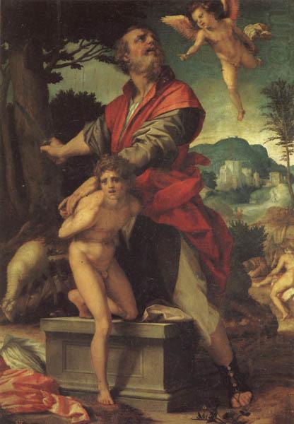 Andrea del Sarto The Sacrifice of Abraham china oil painting image